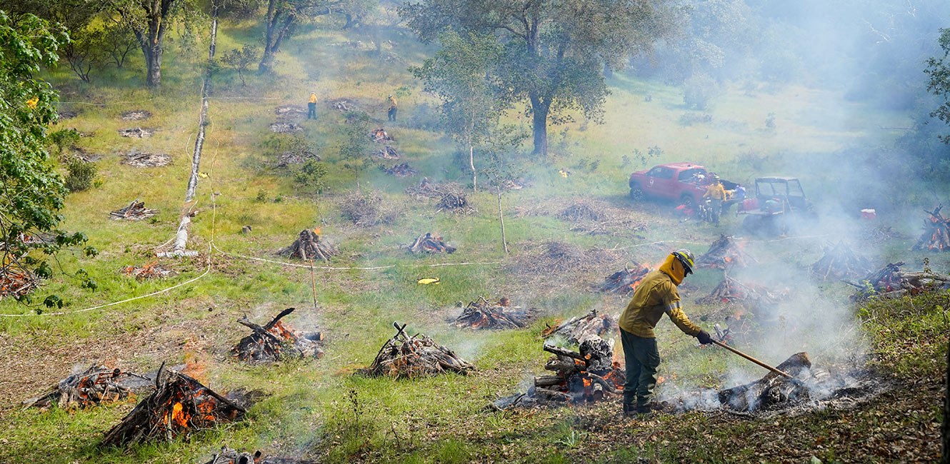 Prescribed Fire